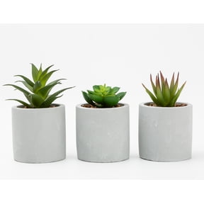 Mainstays 3-Piece Succulent Set in Gray Cement Planters
