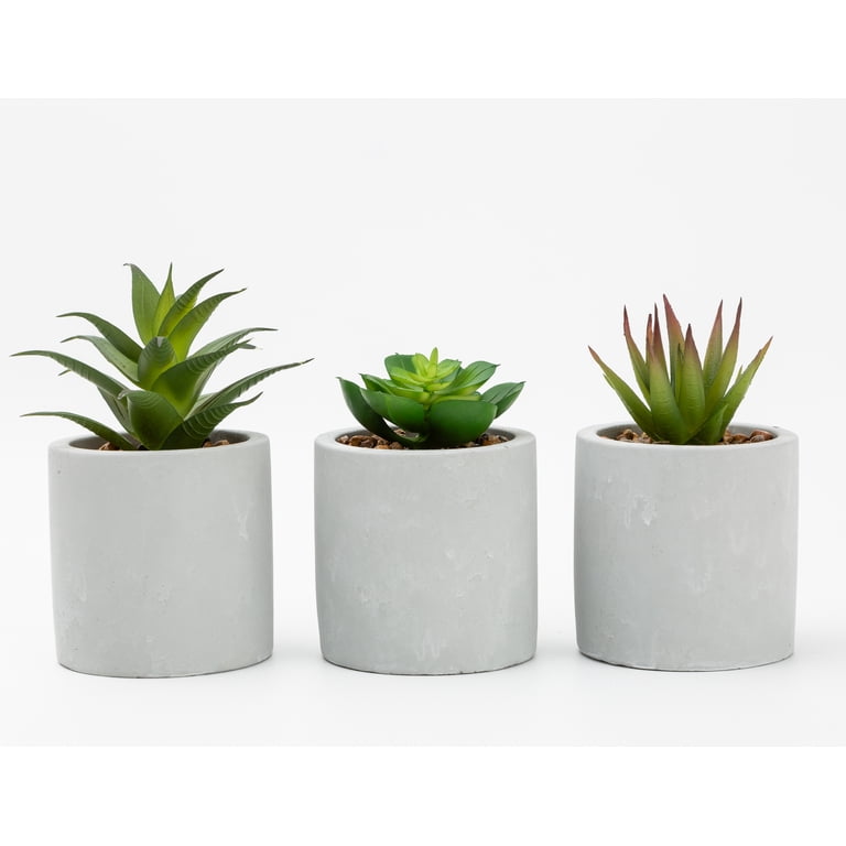 Mainstays 3-Piece Succulent Set in Gray Cement Planters - Walmart.com