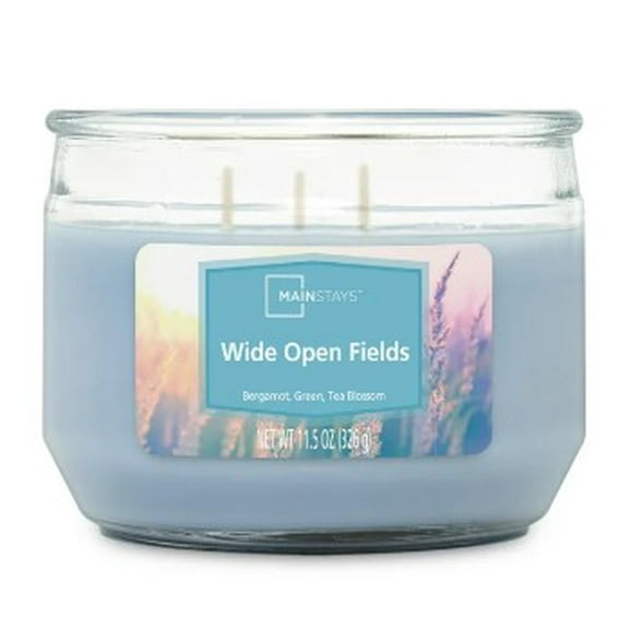 Mainstays 3-Wick Glass Jar Candle, Wide Open Fields, Corydalis Blue, 11.5 oz