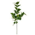 thumbnail image 1 of Mainstays 31 in Green Artificial Pothos Plant Stems, Set of 12.  Vase Not Included., 1 of 6
