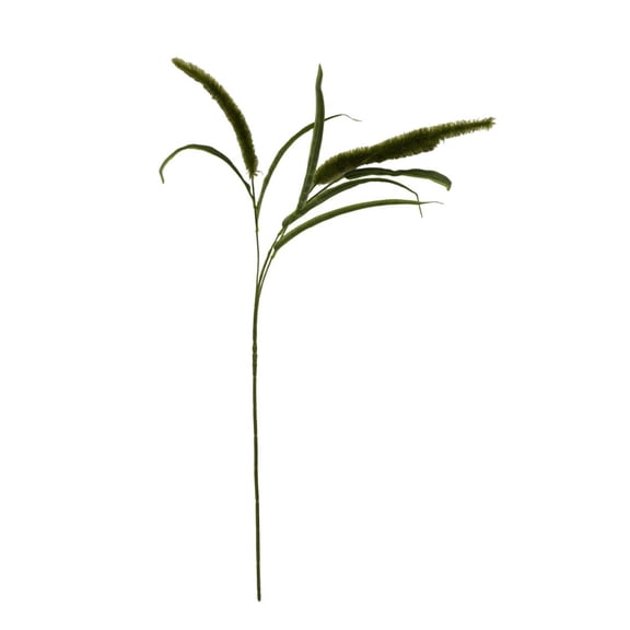 Mainstays 36" Artificial Green Dogtail Stem, Indoor Use