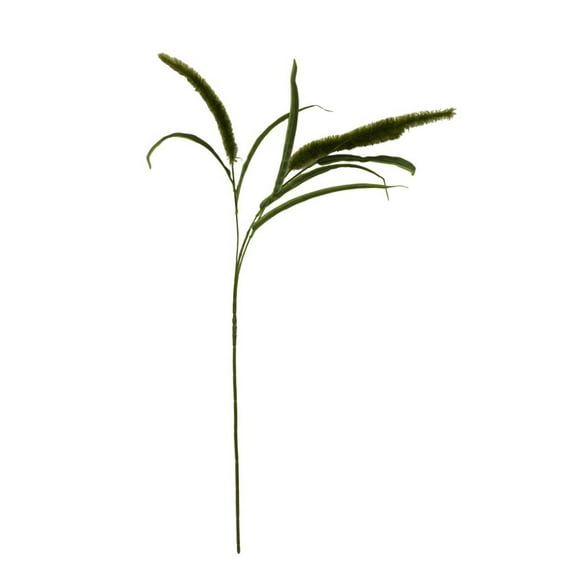 Mainstays 36" Artificial Green Dogtail Stem, Indoor Use