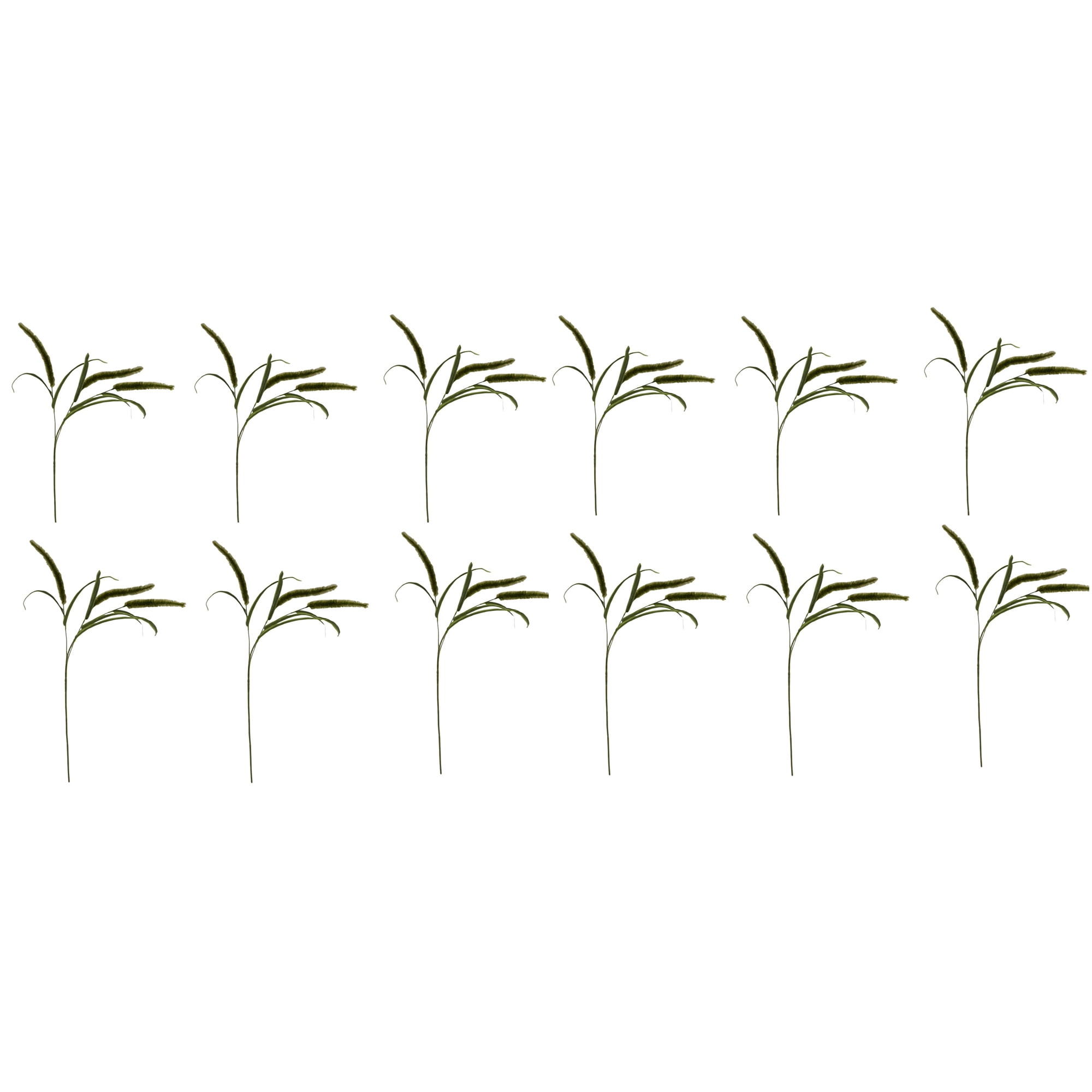 Mainstays 36" Artificial Green Dogtail Stem, Set of 12, Indoor Use