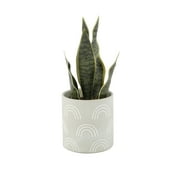 Mainstays 4" Tabletop Artificial Snake Plant in Rainbow Print Terracotta Pot, Sage