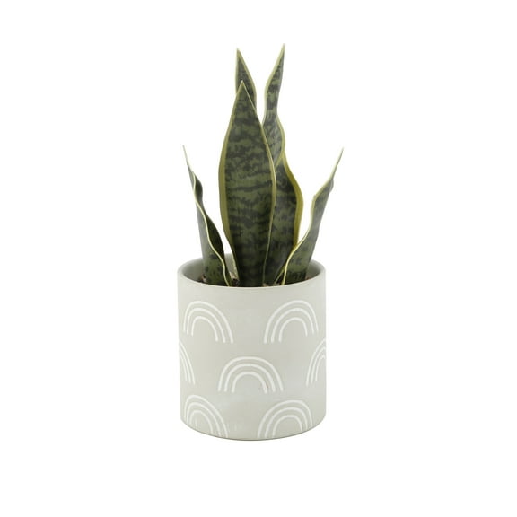 Mainstays 4" Tabletop Artificial Snake Plant in Rainbow Print Terracotta Pot, Sage