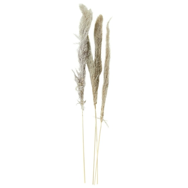 Mainstays 47" Tall Decorative Natural Beige Pampas Grass