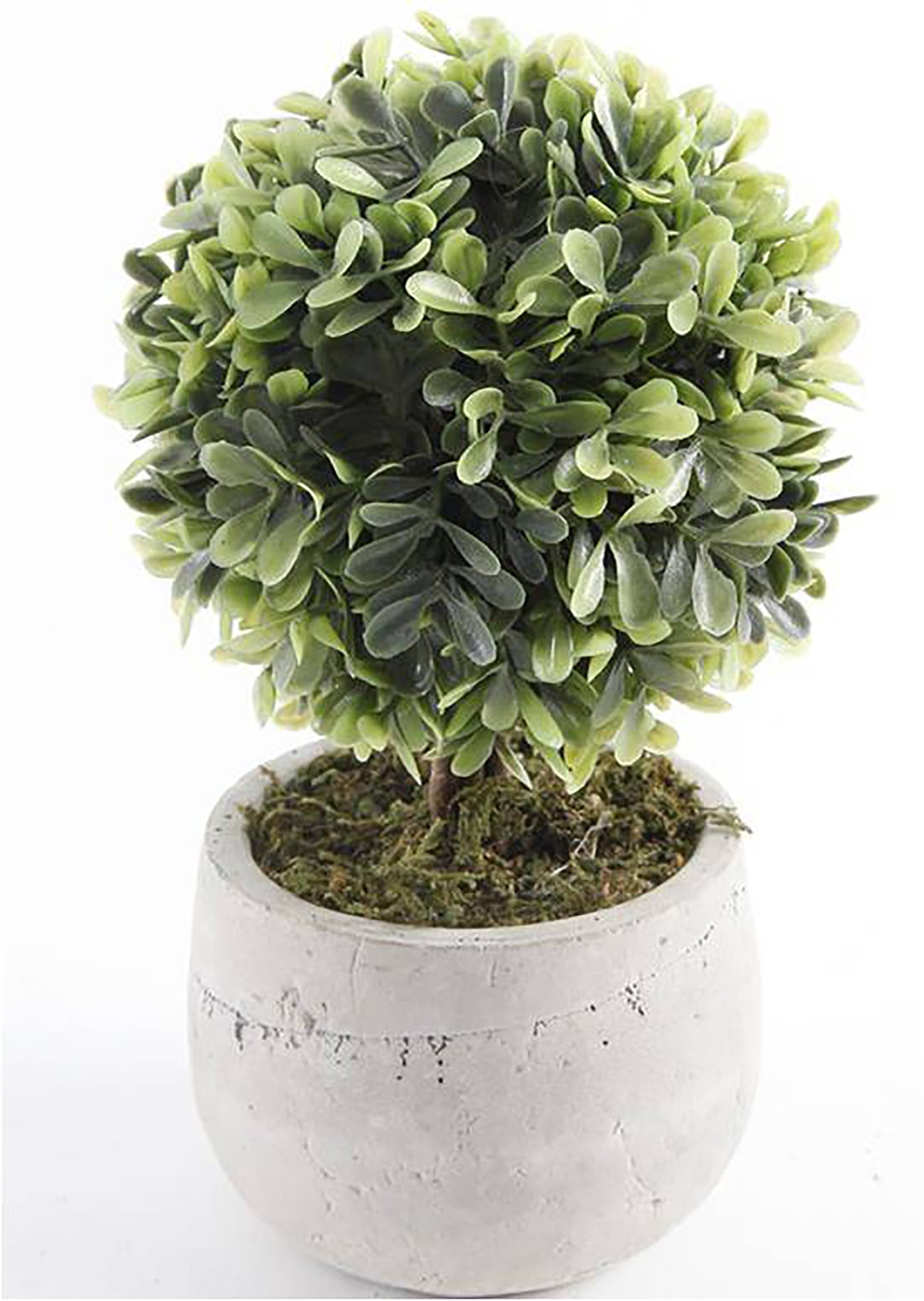 Mainstays 7.5" Artificial Mini Boxwood Topiary in Gray Cement Planter