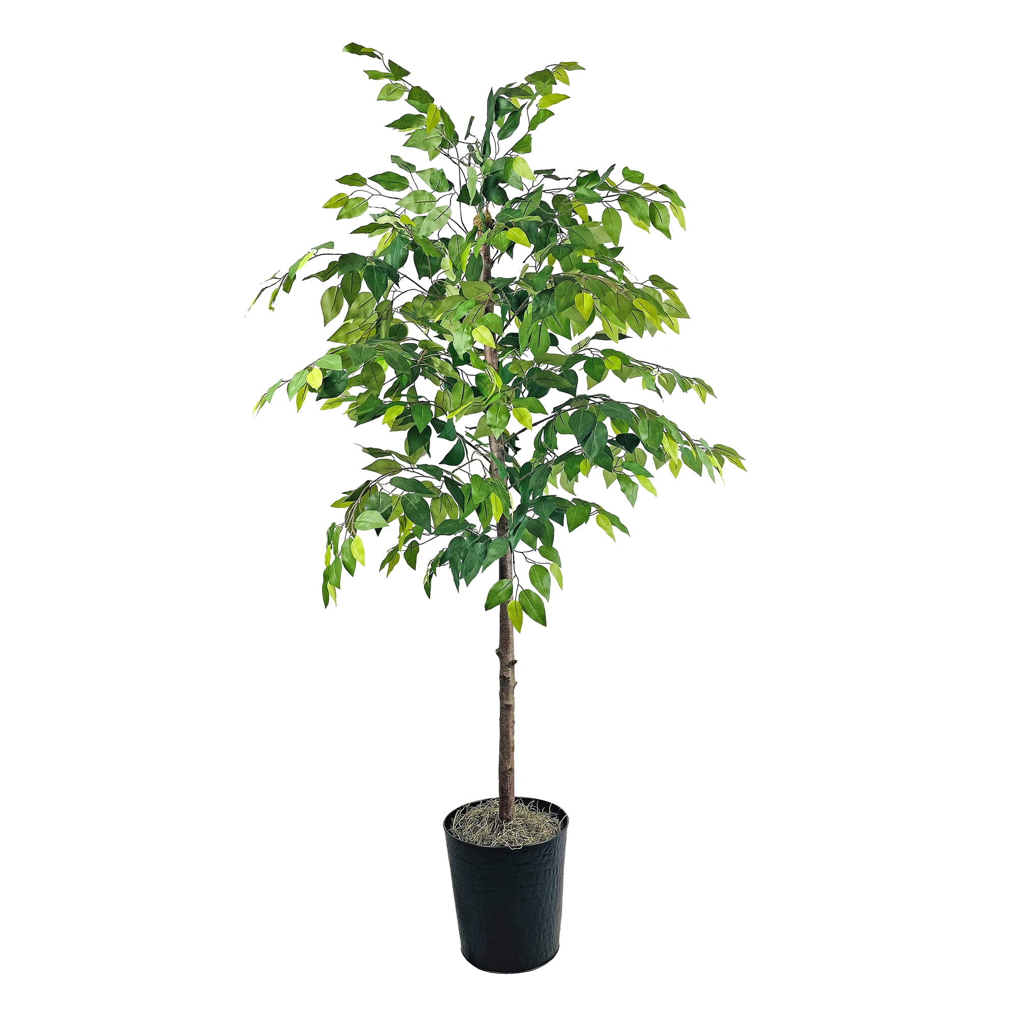 Mainstays Artificial Tree, Ficus Tree, 6 ft, Black Embossed Metal Planter