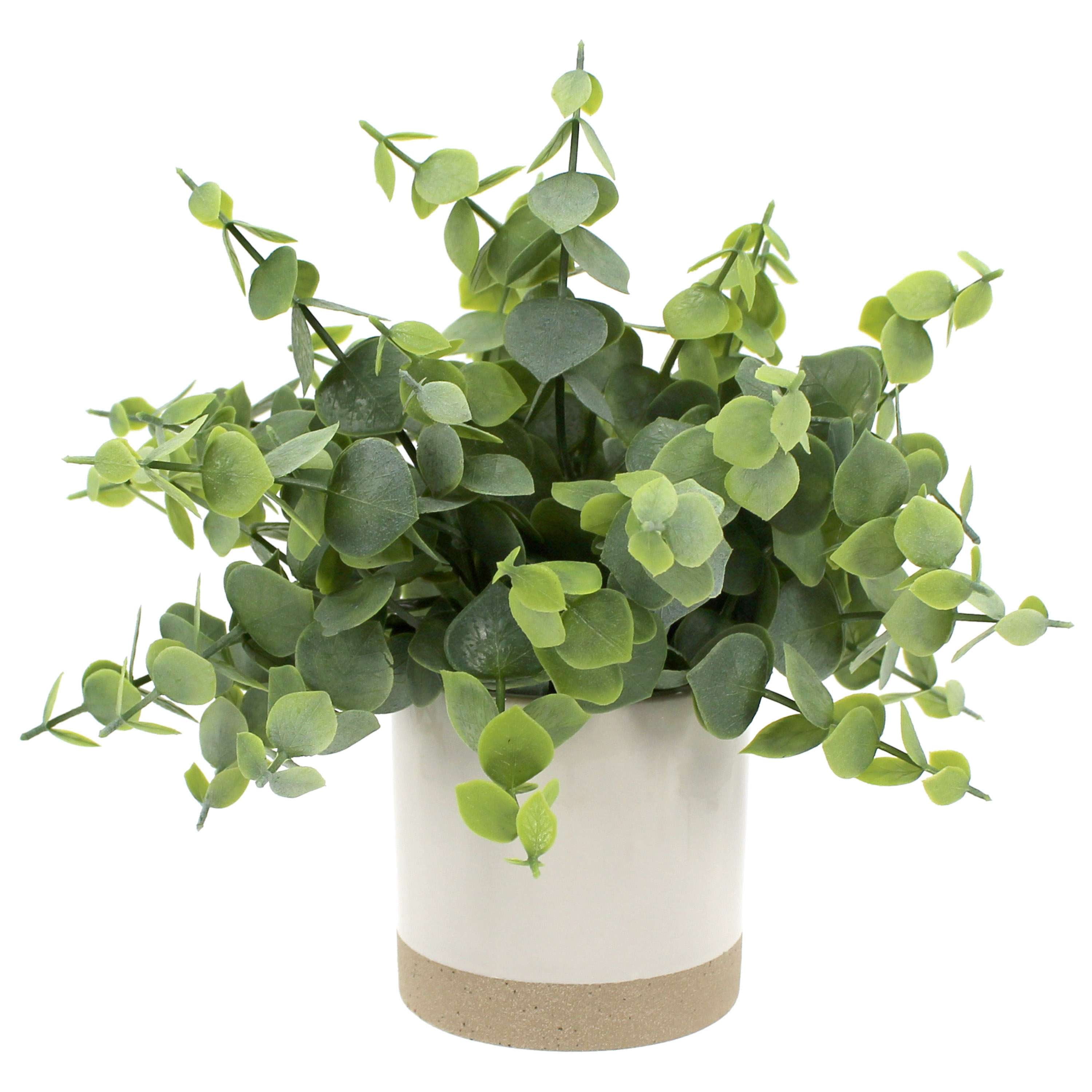 8" Artificial Green Eucalyptus Plant in White and Beige Ceramic Pot
