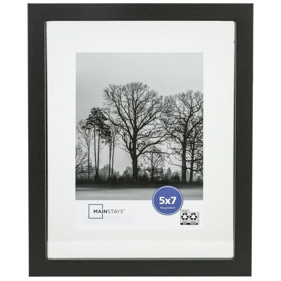 Mainstays Float Frame