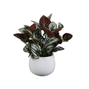 Mainstays 9.75" Artificial Ivy in White Ceramic Pot Made for Tabletops 1.1 lbs