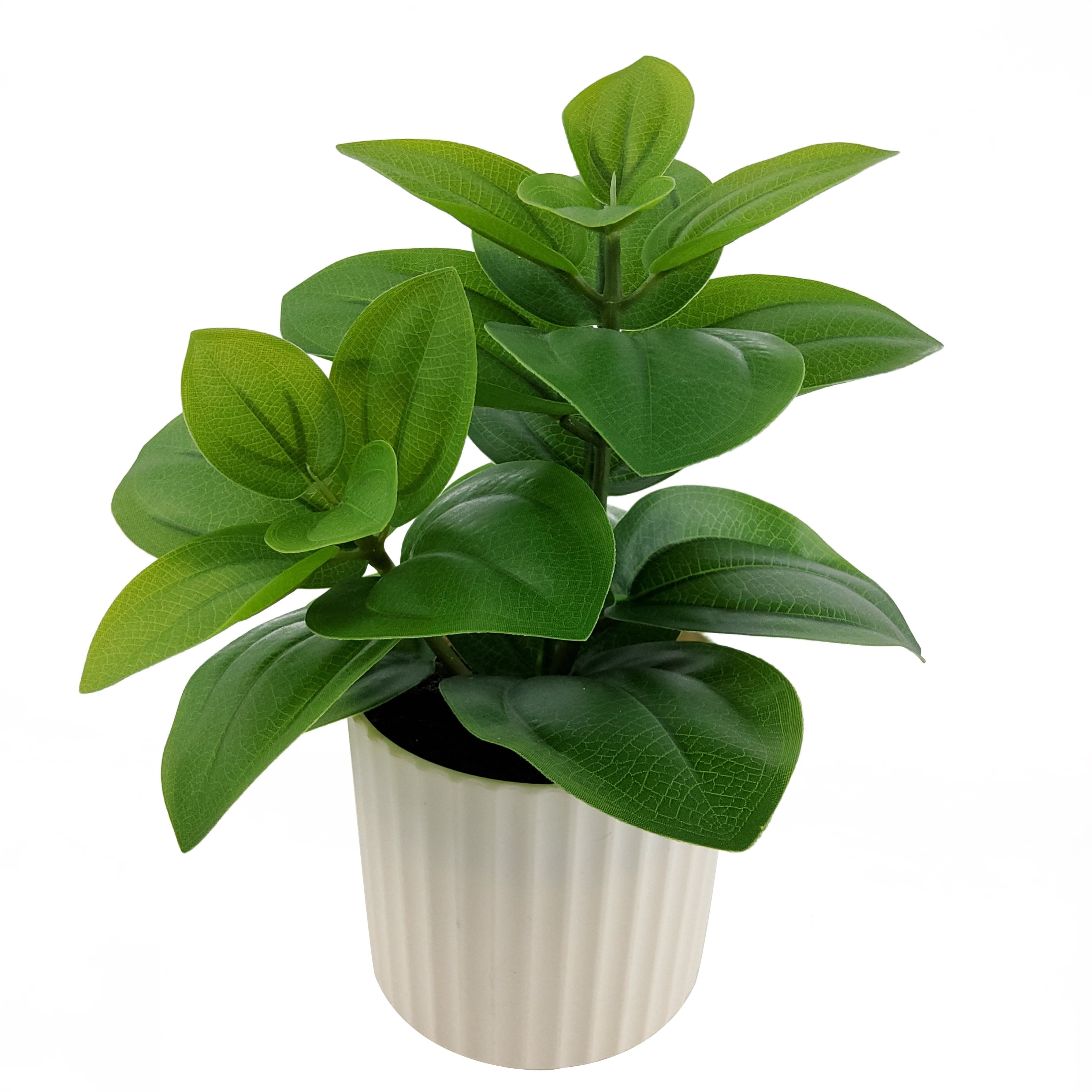 Mainstays 9 in Artificial Peperomia Plant in White Pot, Green Color, 0.5lb Weight.