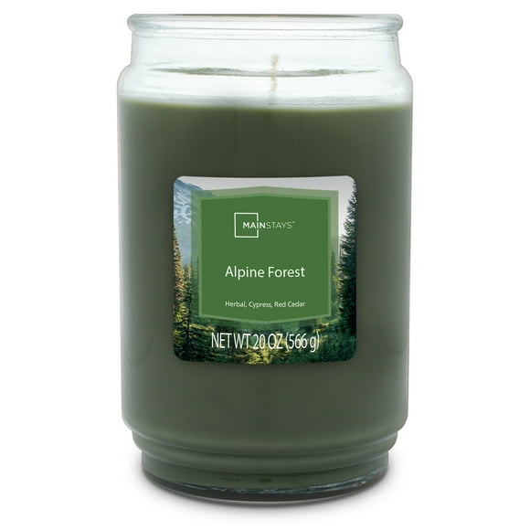 Mainstays Alpine Forest Scented Single Wick Candle, 20 oz.