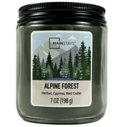 Mainstays Alpine Forest Scented Single-Wick Twist Jar Candle, 7oz
