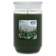 thumbnail image 1 of Mainstays Alpine Forest Scented Single Wick Jar Candle, 20 oz, 1 of 6