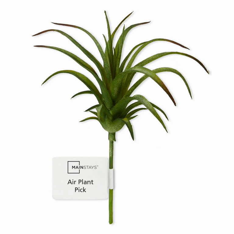 Mainstays Artificial Air Plant Pick 6 inch x 7.75 inch Dark Green with  Purple Tips