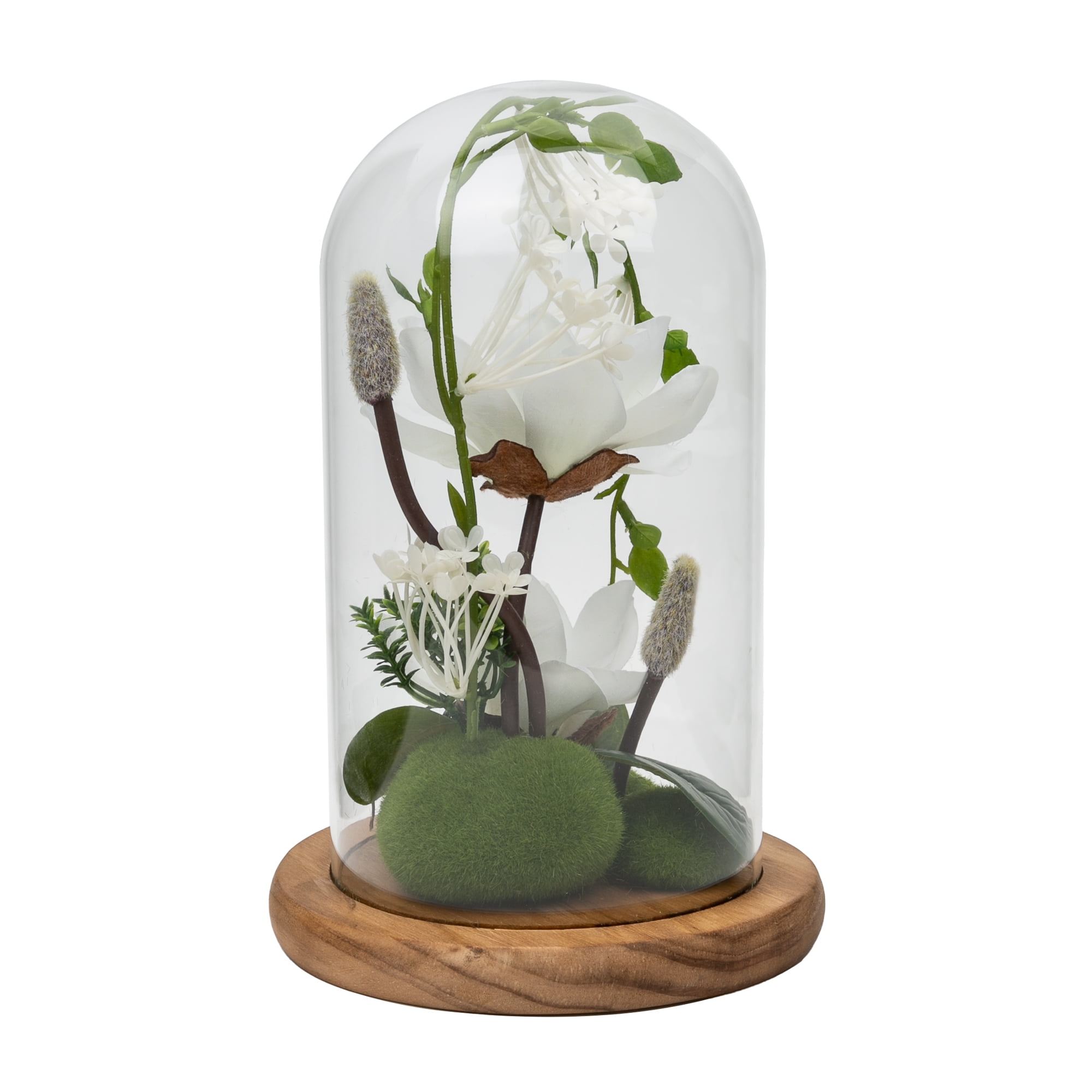 Cloches de protection pour plantes et salades - Livraison offerte