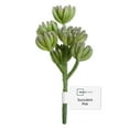 thumbnail image 1 of Mainstays Green Rose Artificial Succulent Pick, 2.75" x 6.75", 1 of 5