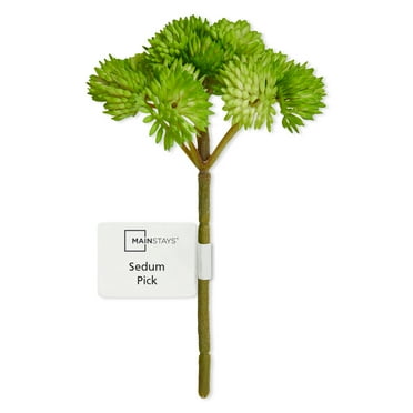 Mainstays Artificial Succulent Pick 3.75 inch x 5 inch Green Sedum