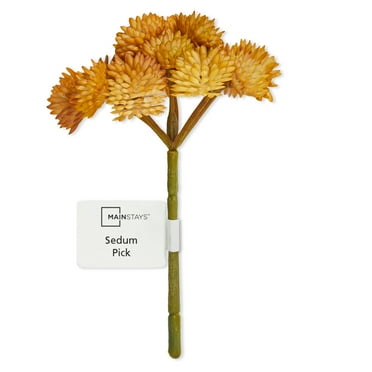 Mainstays Artificial Succulent Pick 3.75 inch x 5 inch Yellow Sedum