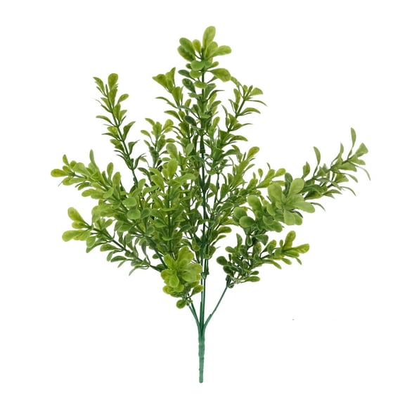 Mainstays Boxwood Pick