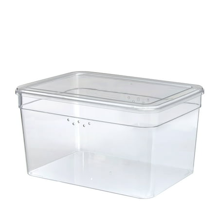 Mainstays Clear Glossy Plastic Extra Tall Shoe Box with Lid, Adult Size