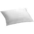 thumbnail image 1 of Mainstays Cotton 100 Percent Striped Zippered Pillow Protector, 1 Each, 1 of 3