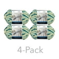 thumbnail image 1 of Mainstays Cozy Chenille Yarn, 220 yd, Multi Teal, 100% Polyester, Super Bulky, Pack of 4, 1 of 4