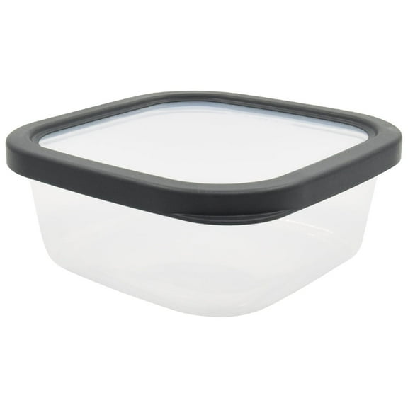 Mainstays Durable Food Storage Container Gray Plastic 4.96 Cup (2 Count)