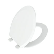 Mainstays Elongated Plastic Toilet Seat with Soft Close and Easy off in Daisy White