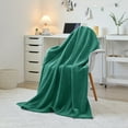 thumbnail image 1 of Mainstays Cozy Sweatshirt Chenille Throw Blanket, Green Lily, 50" x 60", 1 of 8
