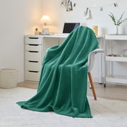 Mainstays Cozy Sweatshirt Chenille Throw Blanket, Green Lily, 50" x 60"