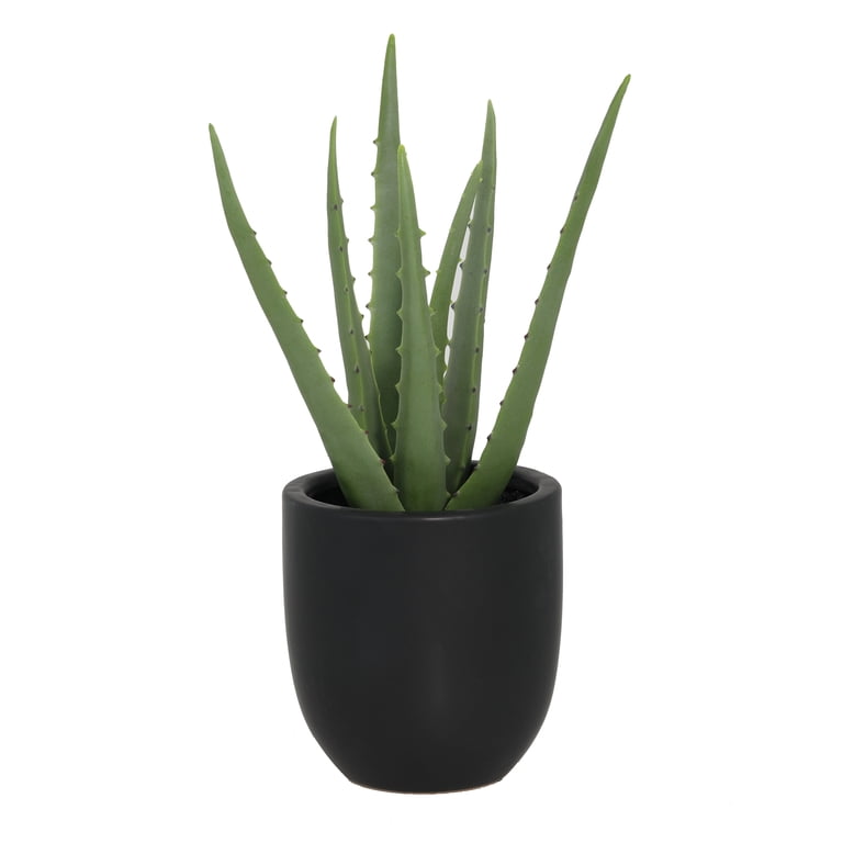 Aloe Green Color