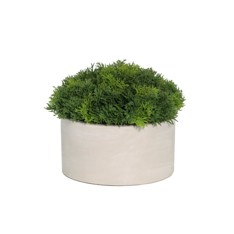 Mainstays Height 5.5 Tall Artificial Plant in Green Color, Potted Plant  Moss in Grey Cement Pot