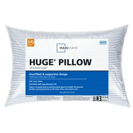 Conair dream sound pillow 2025