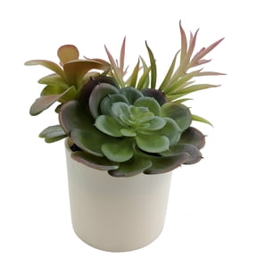 Mainstays 6.5in Indoor Artificial Succulents in Pot, Green Color.