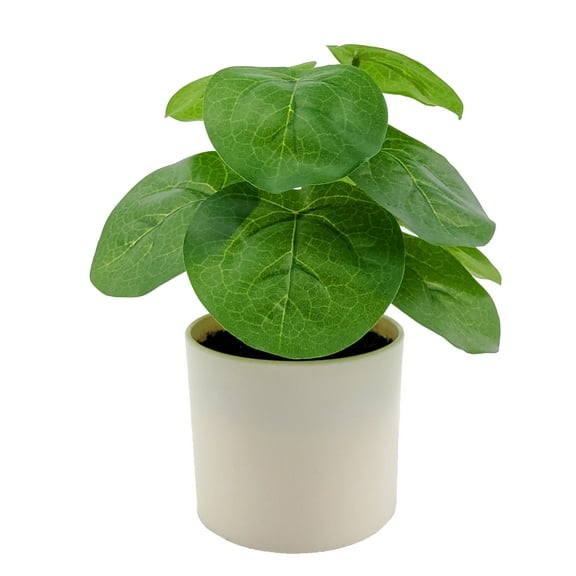 Mainstays Indoor Artificial 7in Money Plant in Pot, Green Color.