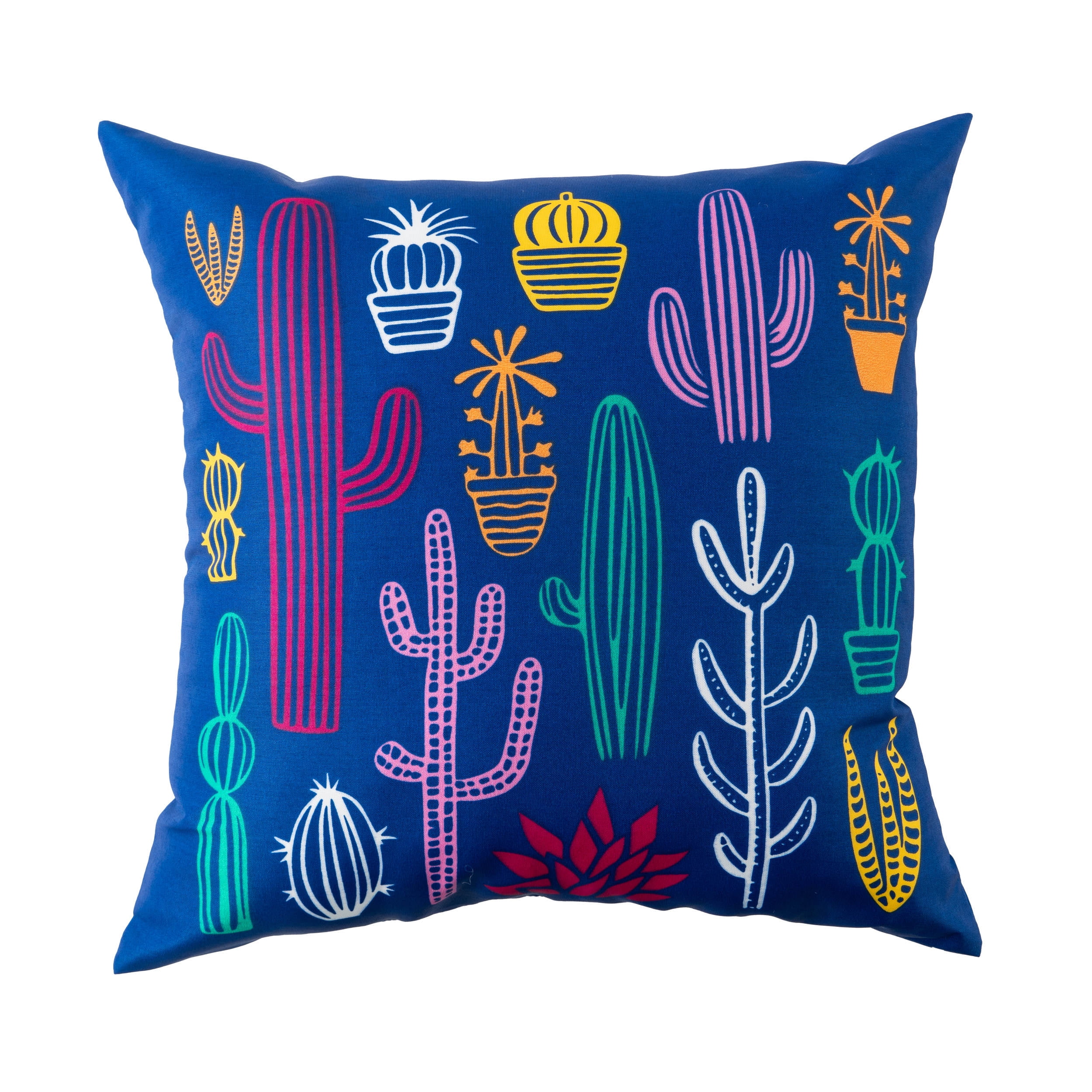 Mainstays SW Cactus Reversible Outdoor Throw Pillow 16 Inch Multicolour Novelty
