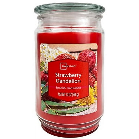 Mainstays Single Wick Jar Candle, Strawberry Dandelion, 20 oz