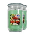 thumbnail image 1 of Mainstays Sweet Apple Scented Single-Wick Large Glass Jar Candle, 20 oz., 2-Pack, 1 of 7
