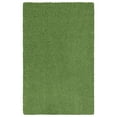 thumbnail image 1 of Mainstays Traditional Solid Green Shag Indoor Room Rug, 3' x 4'8", 1 of 8