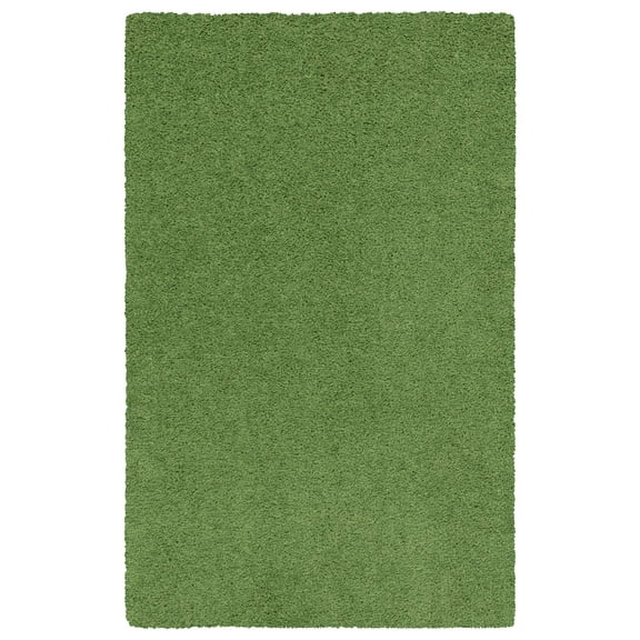 Mainstays Traditional Solid Green Shag Indoor Room Rug, 3' x 4'8"