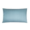 Actual Color: Aqua Dot, Bed Pillow Size: Standard/Queen