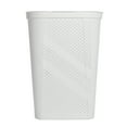 thumbnail image 1 of Mainstays 24" Plastic Hinged-Lid Rectangle Laundry Hamper, White, Adult, 1 of 12