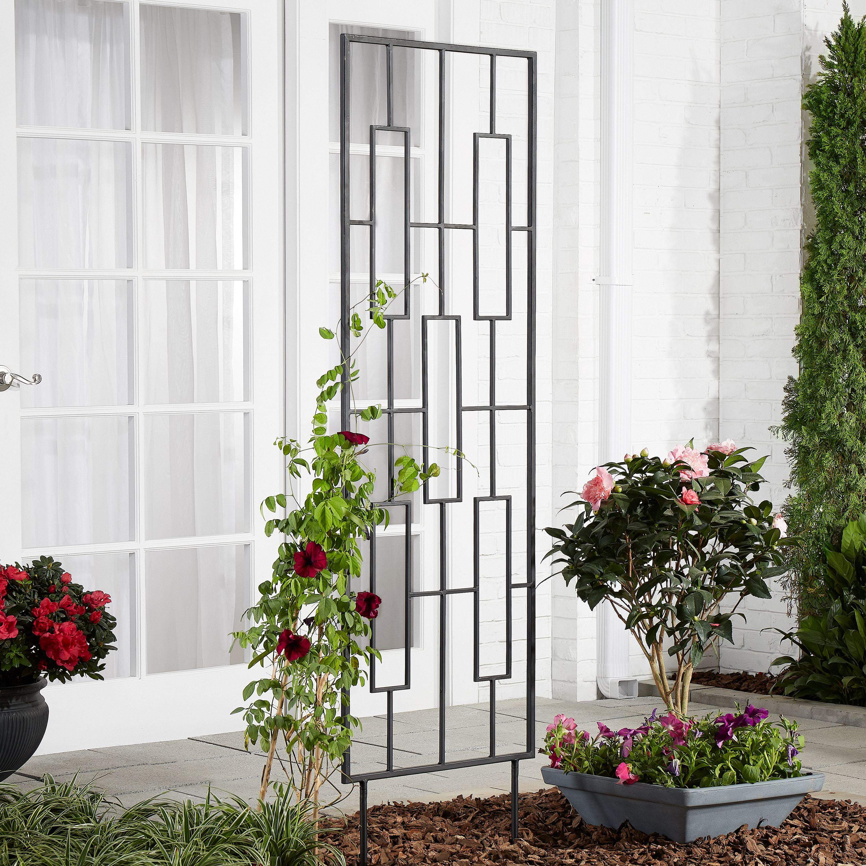 Wire Trellis Ideas for the Garden – Mother Earth News