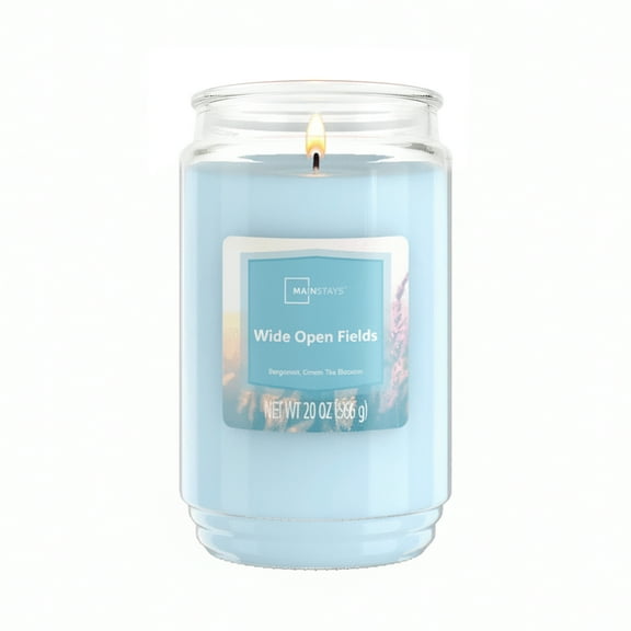 Mainstays Single-Wick Scented Glass Jar Candle, Wide Open Fields, 20oz.
