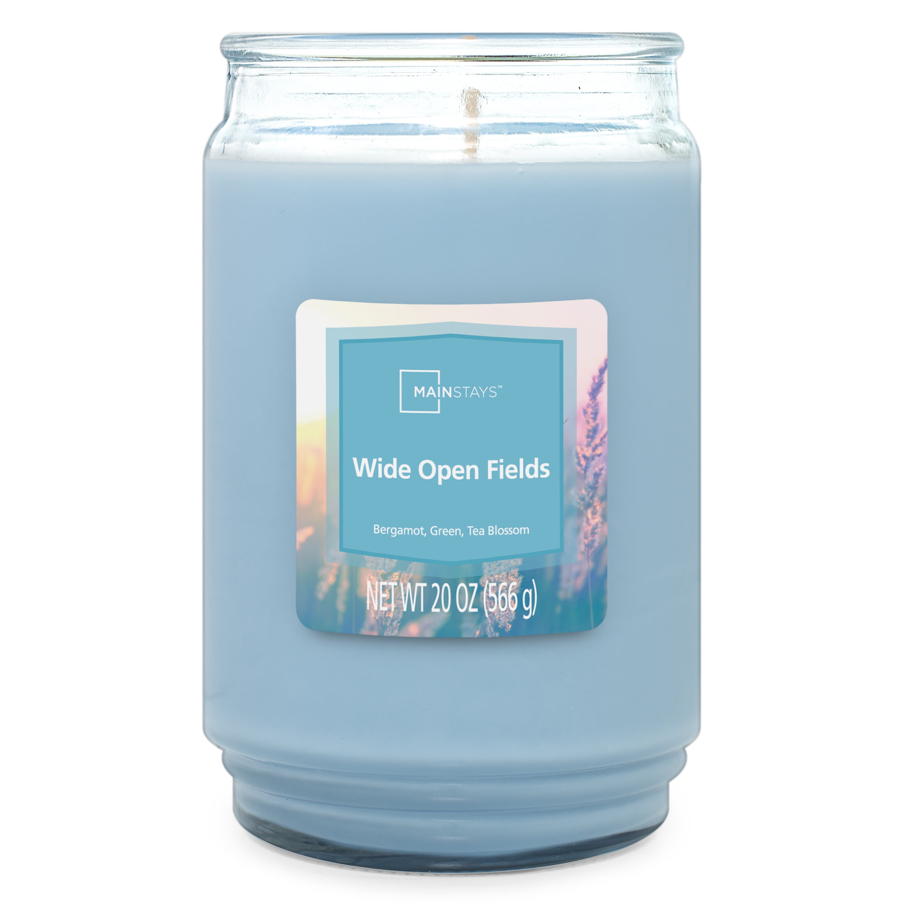 Mainstays Wide Open Fields Single Wick Candle, 20 oz
