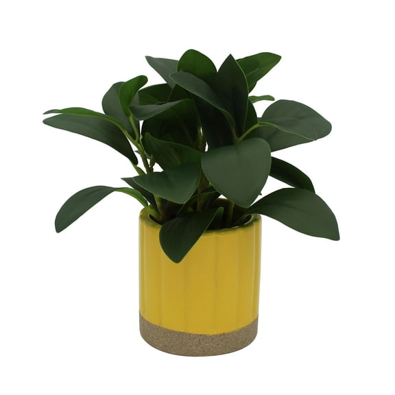 Mainstays by Becky G. & Alejandra 8" Artificial Peperomia in Yellow Two-Tone Ribbed Ceramic Pot