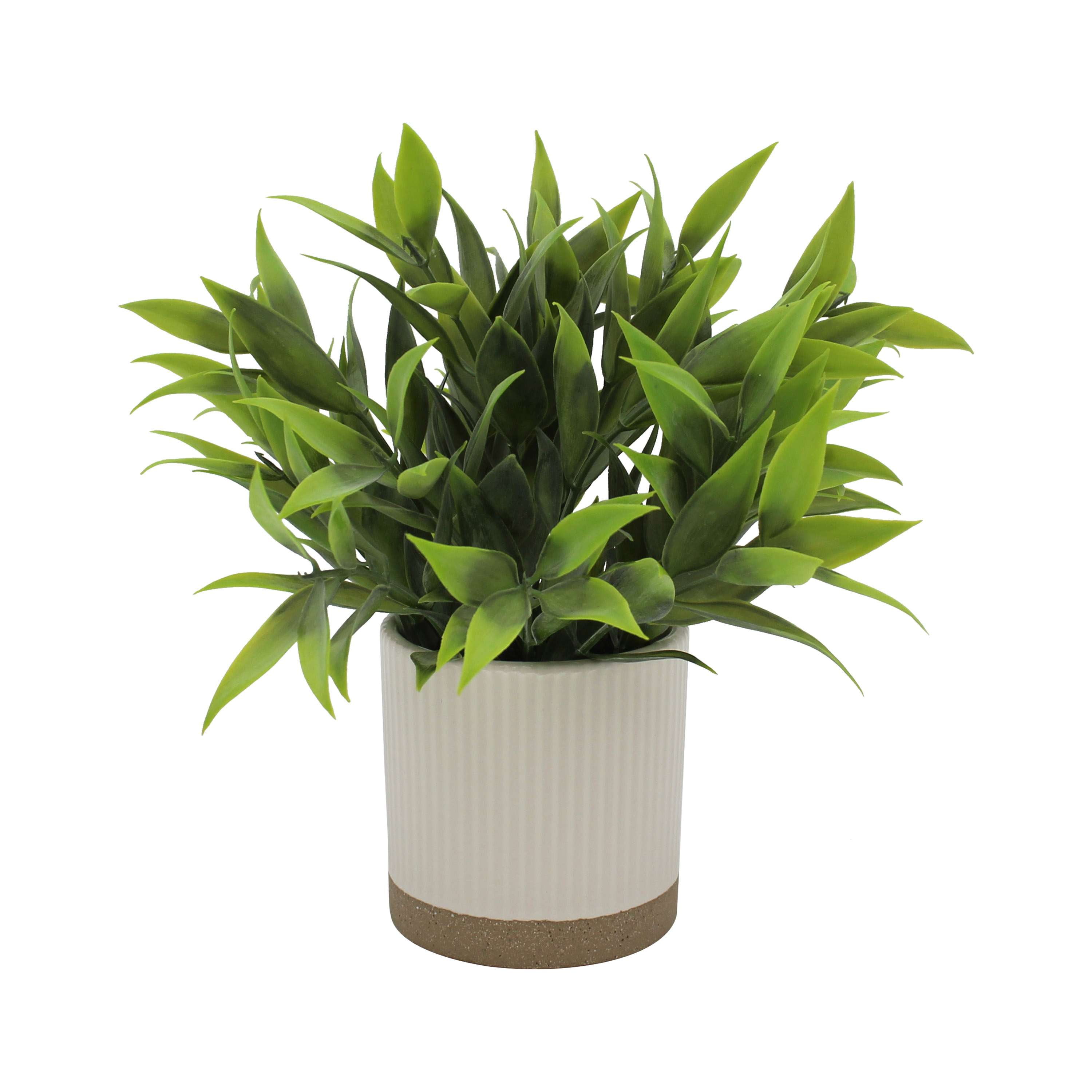Mainstays by Becky G. & Alejandra 8" Artificial Tealeaf in White Two-Tone Ribbed Ceramic Pot