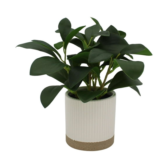 Mainstays by Becky G. & Alejandra 8" Artificial Peperomia in White Two-Tone Ribbed Ceramic Pot